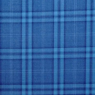Close photograph of blue check suiting cloth, LF-048