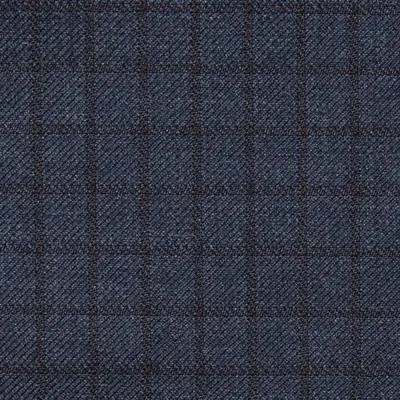 Close photograph of blue check suiting cloth, LF-050