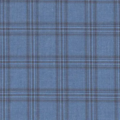 Close photograph of blue check suiting cloth, LF-052