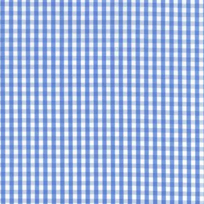 Close photograph of blue check shirting cloth, LF-099