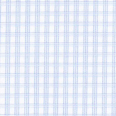 Close photograph of blue check shirting cloth, LF-101