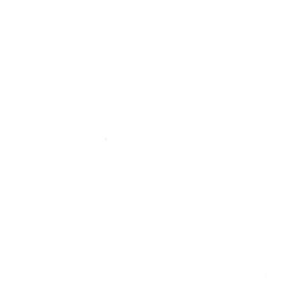Close photograph of white plain shirting cloth, LF-104