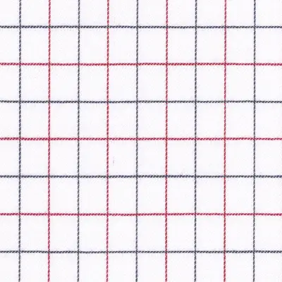 Close photograph of white check shirting cloth, LF-111