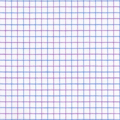 Close photograph of white check shirting cloth, LF-113