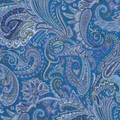 Close photograph of blue print lining cloth, LF-119